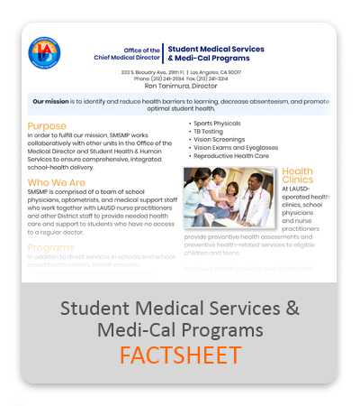 SMSMP Factsheet - English