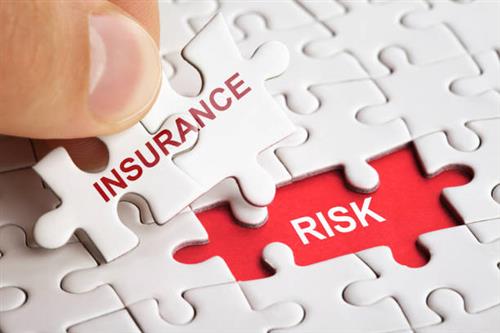 Risk Finance and Insurance