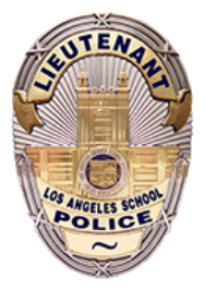 lieutenant badge 