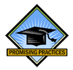 Promising Practices 