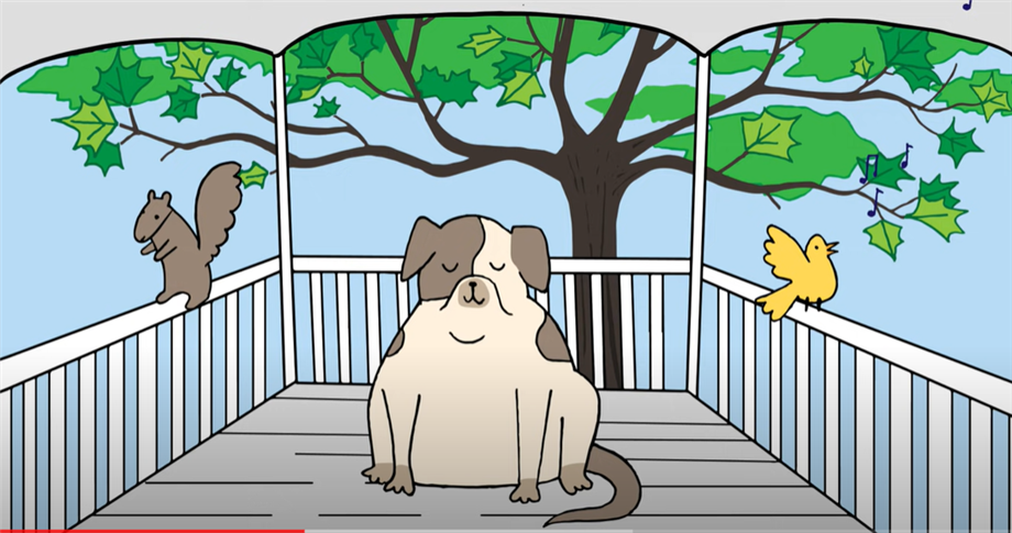 Kids Meditation for Calming