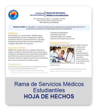 SMSB Services Handout - Spanish