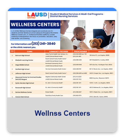 Wellness Centers flyer